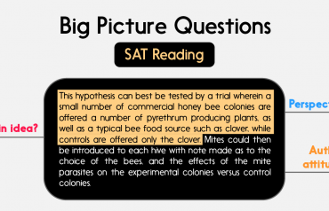 Dạng bài Big Picture Questions trong SAT Reading