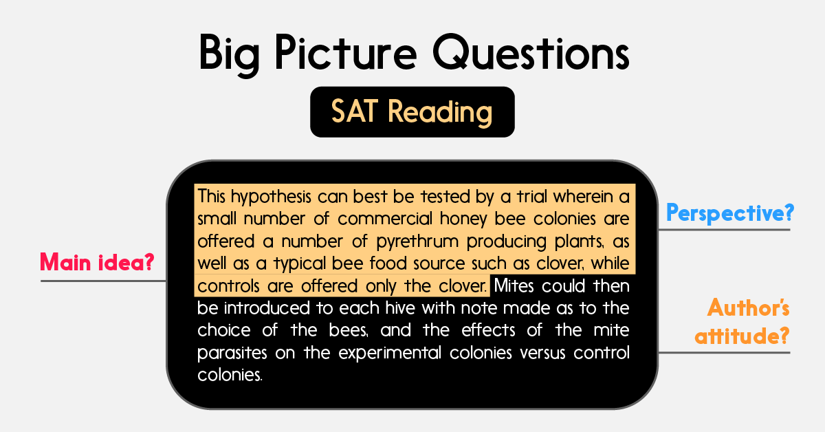 Dạng bài Big Picture Questions trong SAT Reading